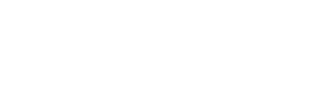 Excess Logo